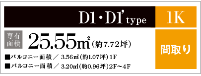 D1D1'type