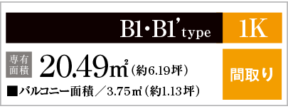 B1・B1'type