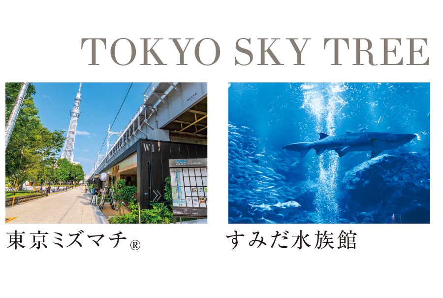 TOKYO SKY TREE-2