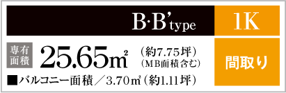 B・B'type