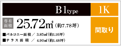 B1type