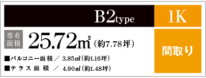 B2type