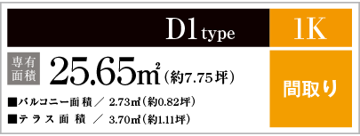 D1type