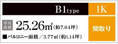 B1type