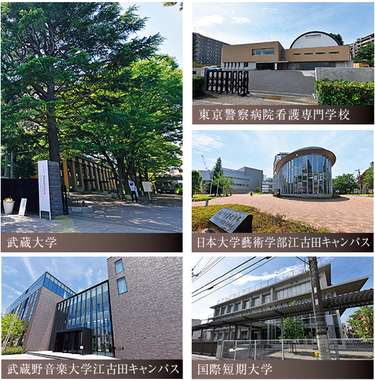 新江古田近隣大学