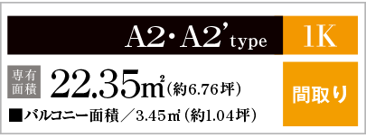 A2・A2'type