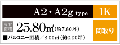 A2・A2gtype