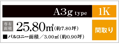 A3gtype