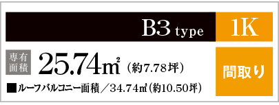 B3type