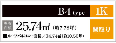 B4type
