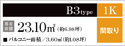 B3type