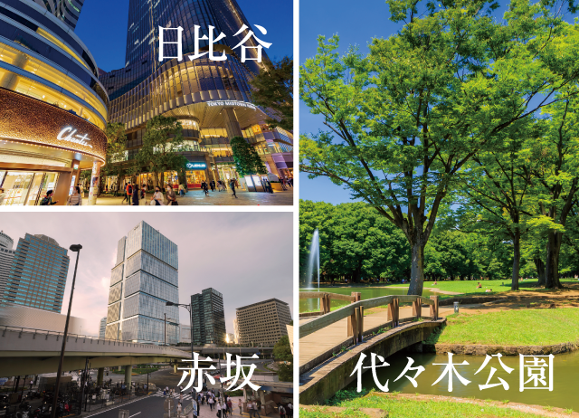 日比谷・赤坂・代々木公園