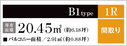 B1type