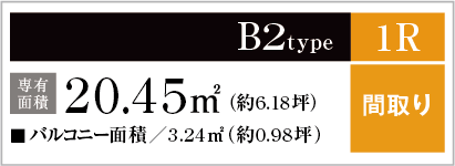 B2type
