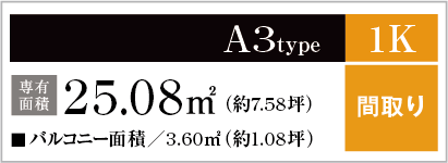 A3type