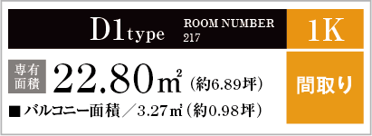 D1type ROOM NUMBER 217