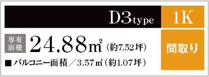 D3type