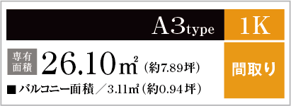 A3type