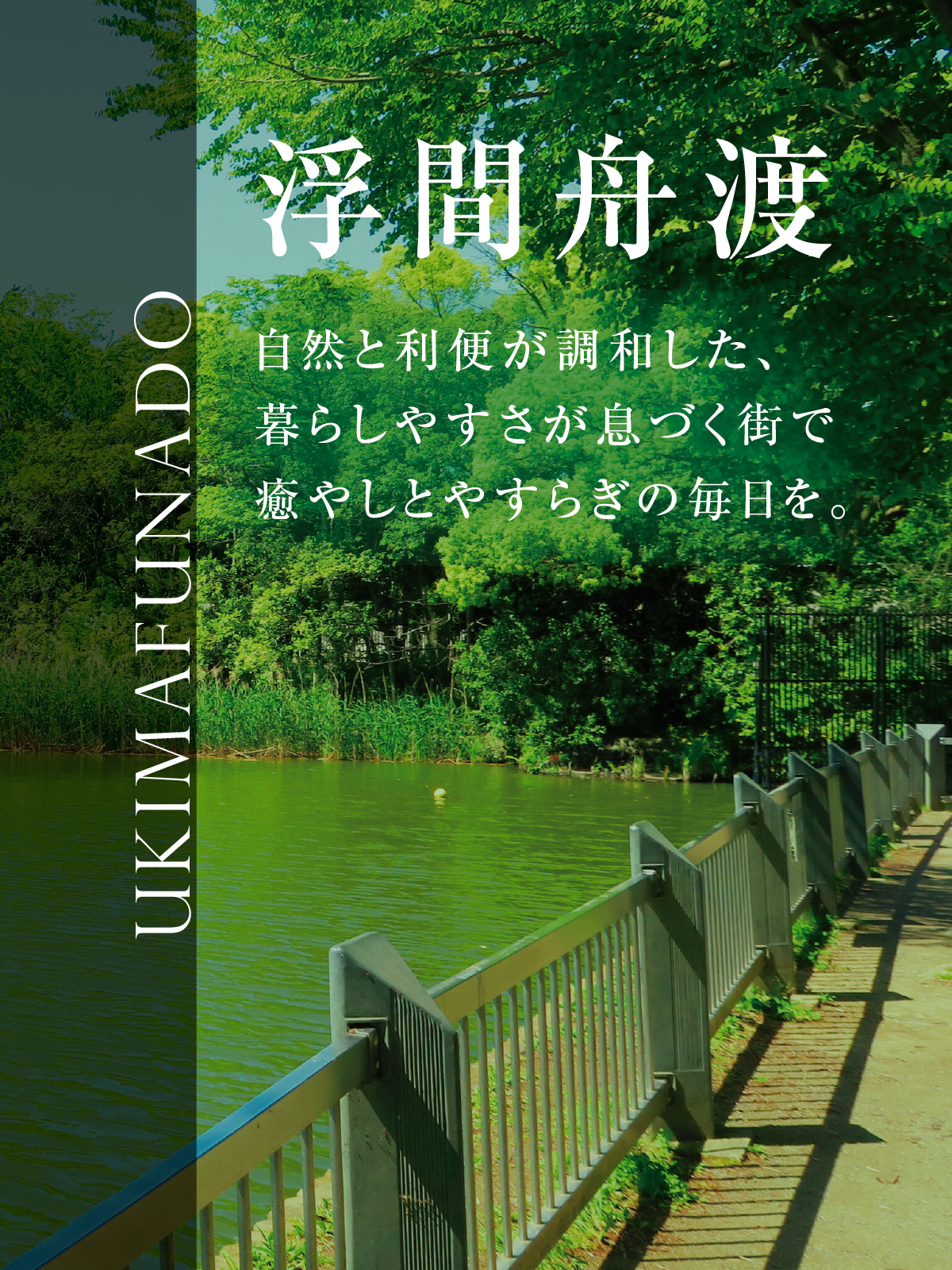 浮間舟渡