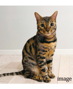 ペットと暮らせます