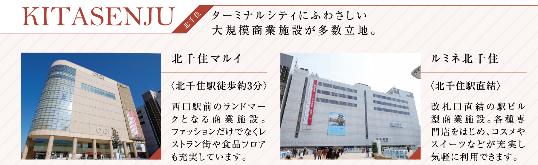 AZEST亀有Ⅲ 周辺