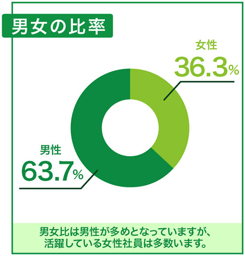 男女の比率チャート